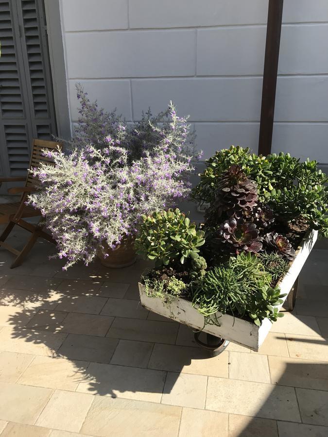 Hotel Lisà Viareggio