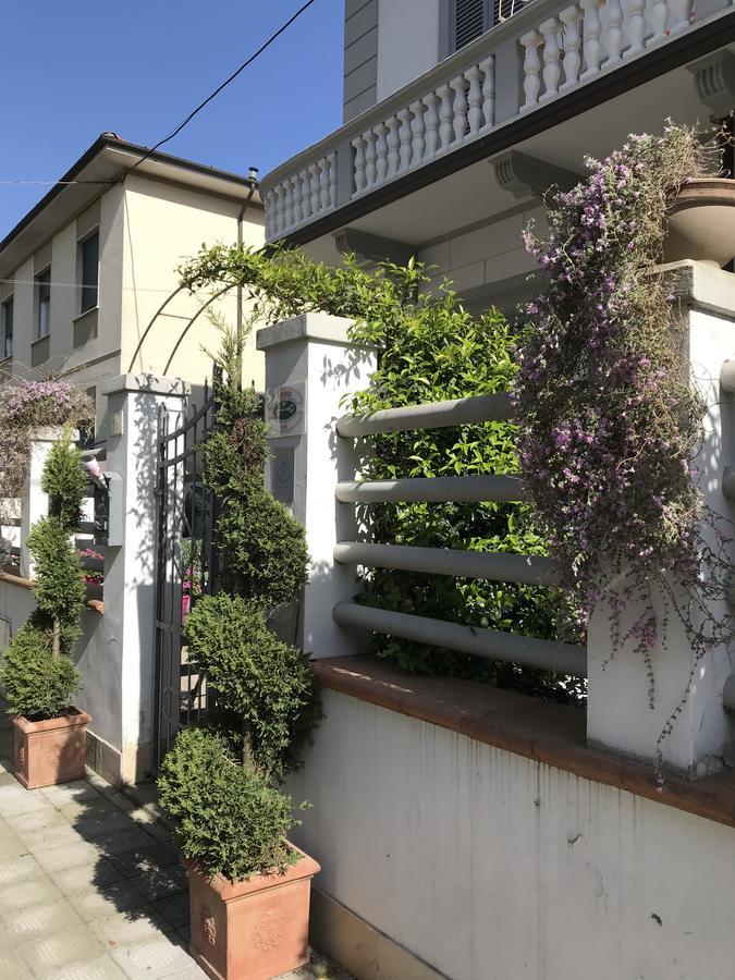 Lisà Viareggio